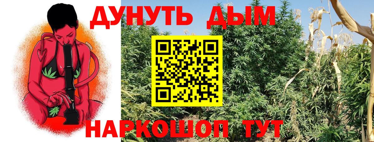 Бошки марихуана Amnesia Лысьва